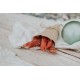 Candied Salmon Jerky - Original Candied Salmon Jerky - Original