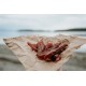 Candied Salmon Jerky - Maple Candied Salmon Jerky - Maple